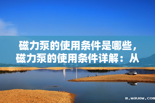 磁力泵的使用条件是哪些,磁力泵的使用条件详解:从安装到操作的关键要点 磁力泵的使用条件是哪些,磁力泵的使用条件详解:从安装到操作的关键要点