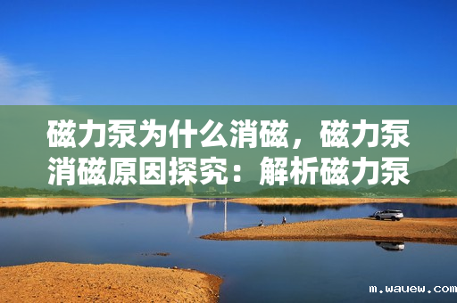 磁力泵为什么消磁,磁力泵消磁原因探究:解析磁力泵失去磁性的关键因素 磁力泵为什么消磁,磁力泵消磁原因探究:解析磁力泵失去磁性的关键因素