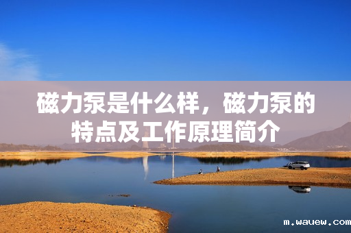 磁力泵是什么样,磁力泵的特点及工作原理简介 磁力泵是什么样,磁力泵的特点及工作原理简介