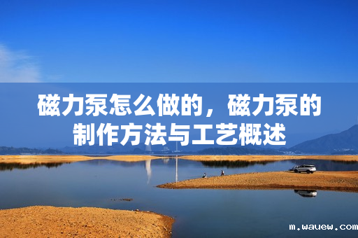 磁力泵怎么做的,磁力泵的制作方法与工艺概述 磁力泵怎么做的,磁力泵的制作方法与工艺概述