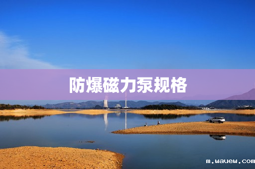 防爆磁力泵规格 防爆磁力泵规格