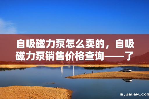 自吸磁力泵怎么卖的,自吸磁力泵销售价格查询——了解自吸磁力泵的市场行情与价格因素 自吸磁力泵怎么卖的,自吸磁力泵销售价格查询——了解自吸磁力泵的市场行情与价格因素