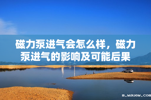 磁力泵进气会怎么样,磁力泵进气的影响及可能后果 磁力泵进气会怎么样,磁力泵进气的影响及可能后果