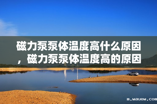 磁力泵泵体温度高什么原因,磁力泵泵体温度高的原因解析 磁力泵泵体温度高什么原因,磁力泵泵体温度高的原因解析