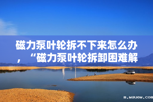 磁力泵叶轮拆不下来怎么办,“磁力泵叶轮拆卸困难解决方案” 磁力泵叶轮拆不下来怎么办,“磁力泵叶轮拆卸困难解决方案”