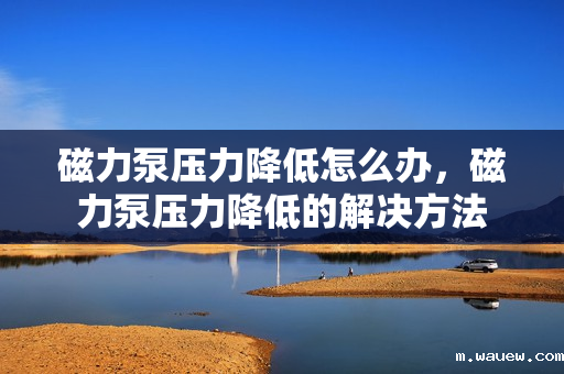 磁力泵压力降低怎么办,磁力泵压力降低的解决方法 磁力泵压力降低怎么办,磁力泵压力降低的解决方法