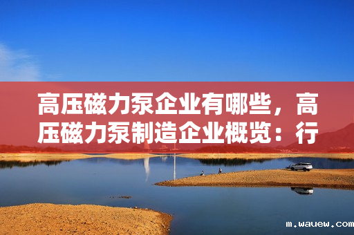 高压磁力泵企业有哪些,高压磁力泵制造企业概览:行业领军企业一览 高压磁力泵企业有哪些,高压磁力泵制造企业概览:行业领军企业一览
