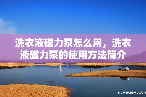 洗衣液磁力泵怎么用,洗衣液磁力泵的使用方法简介 洗衣液磁力泵怎么用,洗衣液磁力泵的使用方法简介