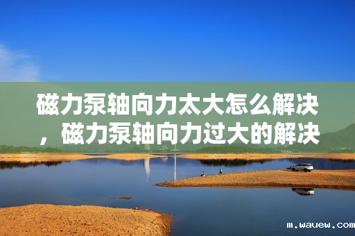 磁力泵轴向力太大怎么解决,磁力泵轴向力过大的解决方案 磁力泵轴向力太大怎么解决,磁力泵轴向力过大的解决方案