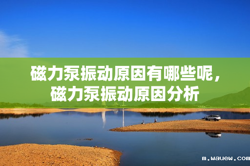 磁力泵振动原因有哪些呢,磁力泵振动原因分析 磁力泵振动原因有哪些呢,磁力泵振动原因分析