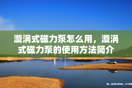 漩涡式磁力泵怎么用,漩涡式磁力泵的使用方法简介 漩涡式磁力泵怎么用,漩涡式磁力泵的使用方法简介