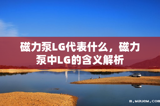 磁力泵LG代表什么,磁力泵中LG的含义解析 磁力泵LG代表什么,磁力泵中LG的含义解析