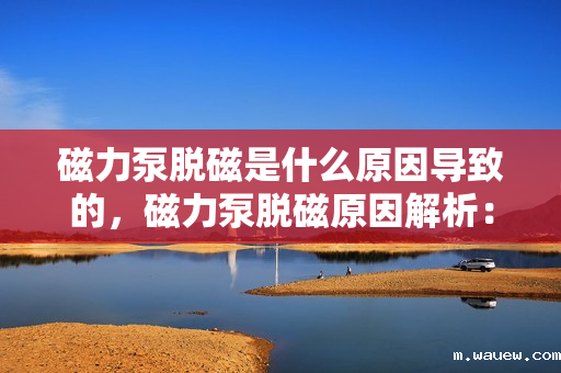 磁力泵脱磁是什么原因导致的,磁力泵脱磁原因解析:故障背后的关键因素探讨 磁力泵脱磁是什么原因导致的,磁力泵脱磁原因解析:故障背后的关键因素探讨