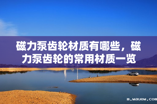 磁力泵齿轮材质有哪些,磁力泵齿轮的常用材质一览 磁力泵齿轮材质有哪些,磁力泵齿轮的常用材质一览