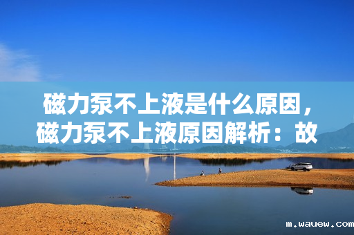 磁力泵不上液是什么原因,磁力泵不上液原因解析:故障排查与解决方案 磁力泵不上液是什么原因,磁力泵不上液原因解析:故障排查与解决方案