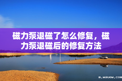 磁力泵退磁了怎么修复,磁力泵退磁后的修复方法 磁力泵退磁了怎么修复,磁力泵退磁后的修复方法