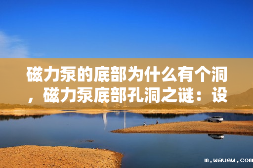 磁力泵的底部为什么有个洞,磁力泵底部孔洞之谜:设计巧思与实用功能的完美结合 磁力泵的底部为什么有个洞,磁力泵底部孔洞之谜:设计巧思与实用功能的完美结合