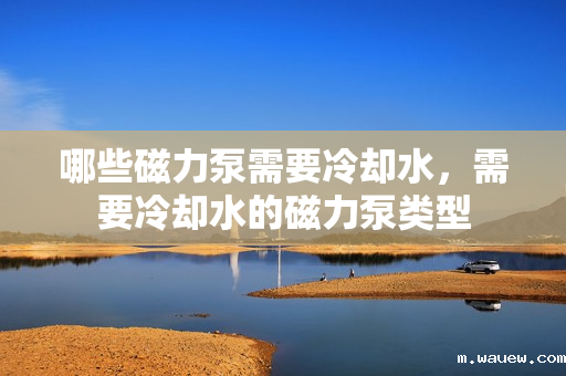 哪些磁力泵需要冷却水,需要冷却水的磁力泵类型 哪些磁力泵需要冷却水,需要冷却水的磁力泵类型