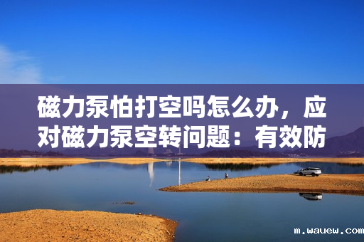 磁力泵怕打空吗怎么办,应对磁力泵空转问题:有效防止与解决措施探讨 磁力泵怕打空吗怎么办,应对磁力泵空转问题:有效防止与解决措施探讨