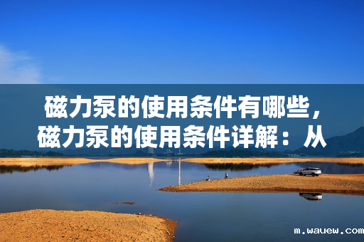 磁力泵的使用条件有哪些,磁力泵的使用条件详解:从安装到操作的全面指南 磁力泵的使用条件有哪些,磁力泵的使用条件详解:从安装到操作的全面指南