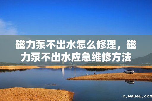磁力泵不出水怎么修理,磁力泵不出水应急维修方法 磁力泵不出水怎么修理,磁力泵不出水应急维修方法
