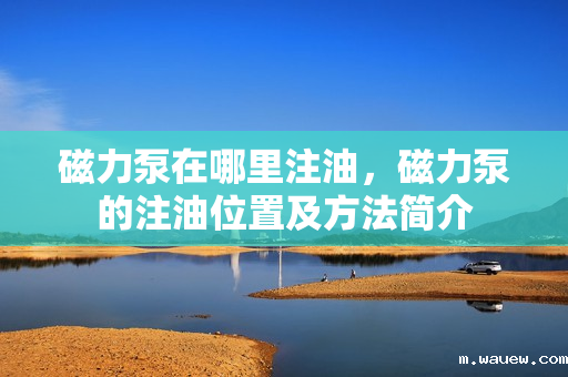 磁力泵在哪里注油,磁力泵的注油位置及方法简介 磁力泵在哪里注油,磁力泵的注油位置及方法简介