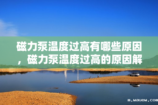 磁力泵温度过高有哪些原因,磁力泵温度过高的原因解析 磁力泵温度过高有哪些原因,磁力泵温度过高的原因解析