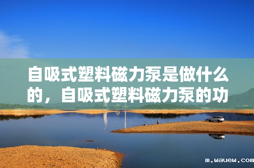 自吸式塑料磁力泵是做什么的,自吸式塑料磁力泵的功能及应用简介 自吸式塑料磁力泵是做什么的,自吸式塑料磁力泵的功能及应用简介