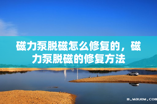 磁力泵脱磁怎么修复的,磁力泵脱磁的修复方法 磁力泵脱磁怎么修复的,磁力泵脱磁的修复方法