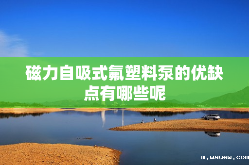 磁力自吸式氟塑料泵的优缺点有哪些呢 磁力自吸式氟塑料泵的优缺点有哪些呢