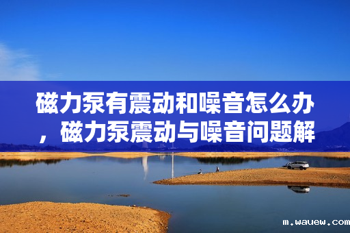 磁力泵有震动和噪音怎么办,磁力泵震动与噪音问题解决方案 磁力泵有震动和噪音怎么办,磁力泵震动与噪音问题解决方案