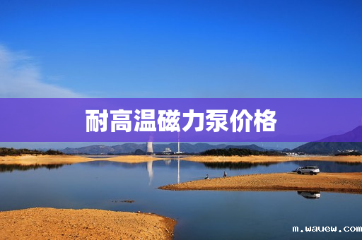 耐高温磁力泵价格 耐高温磁力泵价格