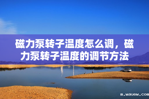 磁力泵转子温度怎么调,磁力泵转子温度的调节方法 磁力泵转子温度怎么调,磁力泵转子温度的调节方法