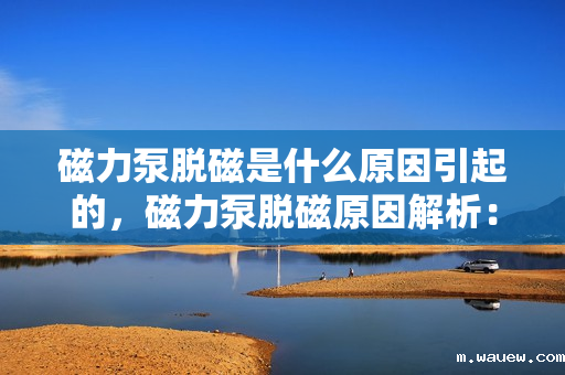 磁力泵脱磁是什么原因引起的,磁力泵脱磁原因解析:故障背后的关键因素探讨 磁力泵脱磁是什么原因引起的,磁力泵脱磁原因解析:故障背后的关键因素探讨