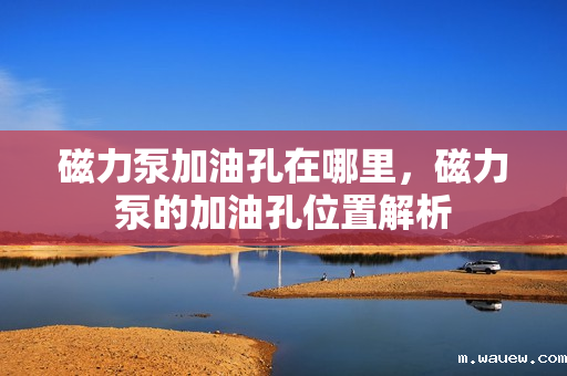 磁力泵加油孔在哪里,磁力泵的加油孔位置解析 磁力泵加油孔在哪里,磁力泵的加油孔位置解析