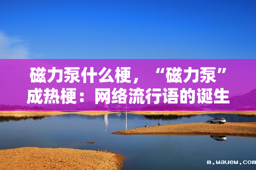 磁力泵什么梗,“磁力泵”成热梗:网络流行语的诞生与解读 磁力泵什么梗,“磁力泵”成热梗:网络流行语的诞生与解读