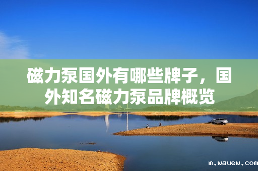 磁力泵国外有哪些牌子,国外知名磁力泵品牌概览 磁力泵国外有哪些牌子,国外知名磁力泵品牌概览