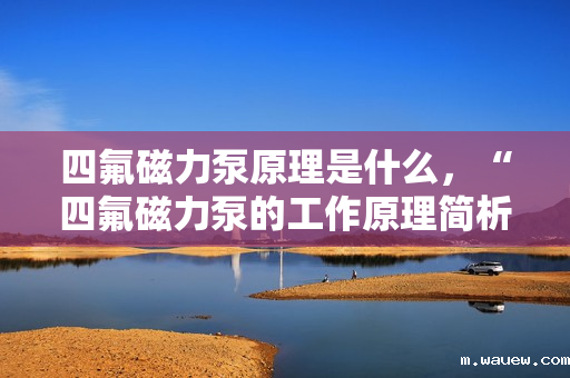四氟磁力泵原理是什么,“四氟磁力泵的工作原理简析” 四氟磁力泵原理是什么,“四氟磁力泵的工作原理简析”