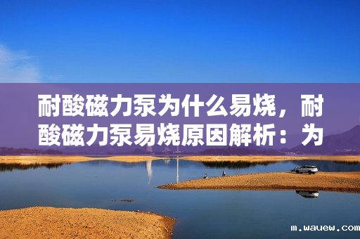 耐酸磁力泵为什么易烧,耐酸磁力泵易烧原因解析:为何故障频发? 耐酸磁力泵为什么易烧,耐酸磁力泵易烧原因解析:为何故障频发?