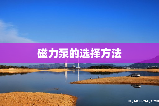 磁力泵的选择方法 磁力泵的选择方法