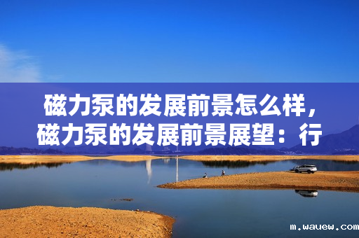 磁力泵的发展前景怎么样,磁力泵的发展前景展望:行业趋势与市场潜力分析 磁力泵的发展前景怎么样,磁力泵的发展前景展望:行业趋势与市场潜力分析