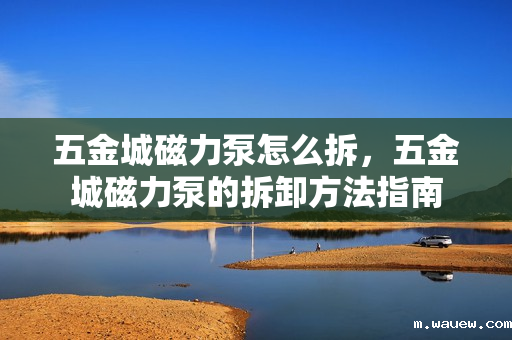 五金城磁力泵怎么拆,五金城磁力泵的拆卸方法指南 五金城磁力泵怎么拆,五金城磁力泵的拆卸方法指南