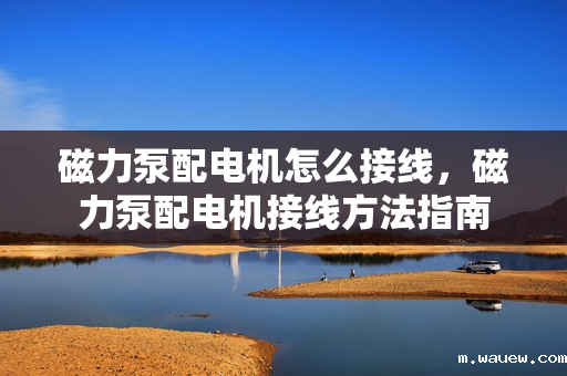 磁力泵配电机怎么接线,磁力泵配电机接线方法指南 磁力泵配电机怎么接线,磁力泵配电机接线方法指南