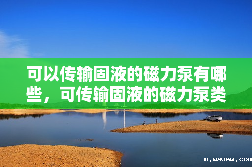 可以传输固液的磁力泵有哪些,可传输固液的磁力泵类型概览 可以传输固液的磁力泵有哪些,可传输固液的磁力泵类型概览