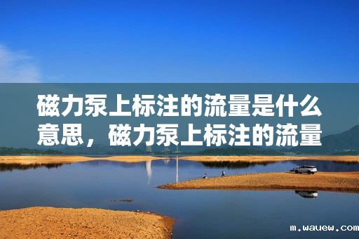 磁力泵上标注的流量是什么意思,磁力泵上标注的流量含义解析 磁力泵上标注的流量是什么意思,磁力泵上标注的流量含义解析