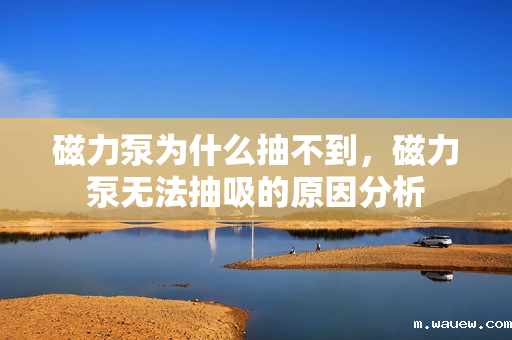 磁力泵为什么抽不到,磁力泵无法抽吸的原因分析 磁力泵为什么抽不到,磁力泵无法抽吸的原因分析