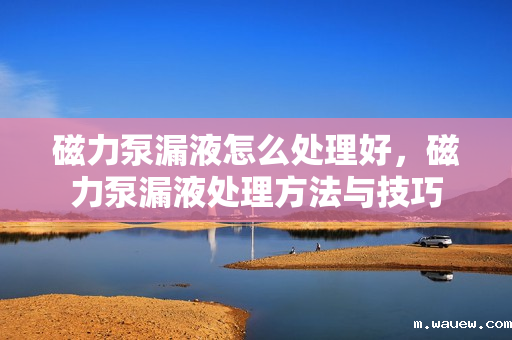 磁力泵漏液怎么处理好,磁力泵漏液处理方法与技巧 磁力泵漏液怎么处理好,磁力泵漏液处理方法与技巧