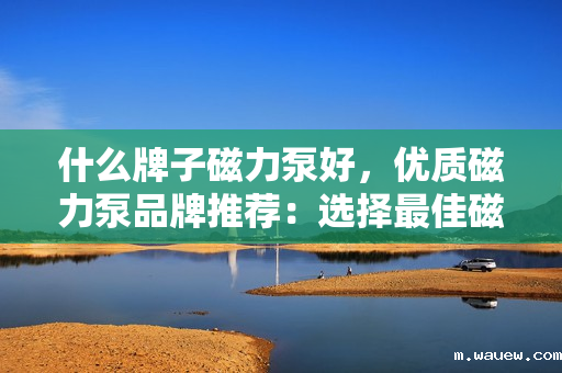 什么牌子磁力泵好,优质磁力泵品牌推荐:选择最佳磁力泵的关键指南 什么牌子磁力泵好,优质磁力泵品牌推荐:选择最佳磁力泵的关键指南