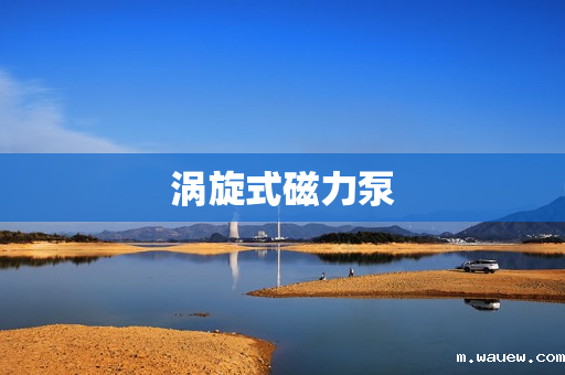 涡旋式磁力泵 涡旋式磁力泵