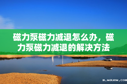 磁力泵磁力减退怎么办,磁力泵磁力减退的解决方法 磁力泵磁力减退怎么办,磁力泵磁力减退的解决方法